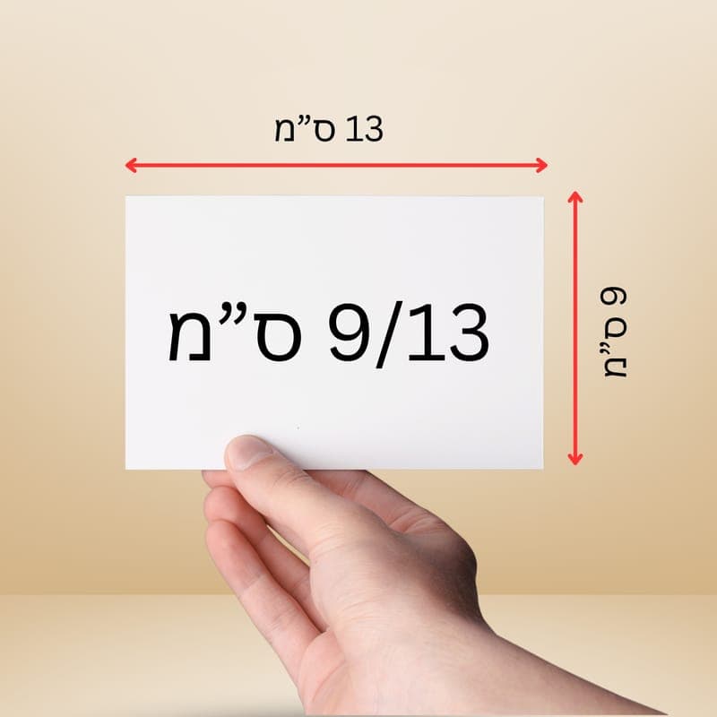 תמונה 9/13